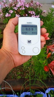 20110622kik.jpg